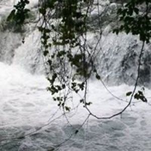 Meet your Posher, Candy